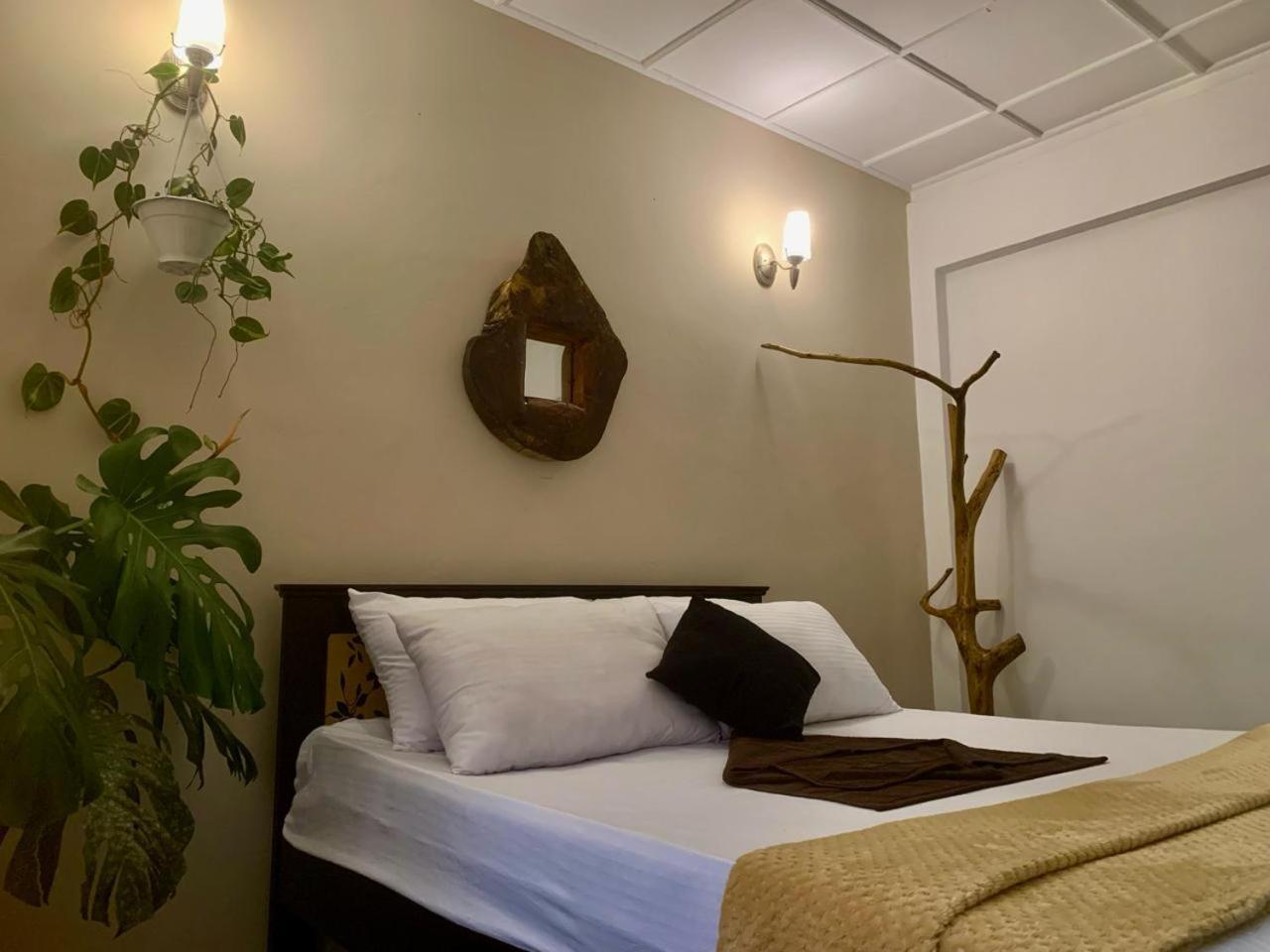 Ella Gypsies Hostel Εξωτερικό φωτογραφία
