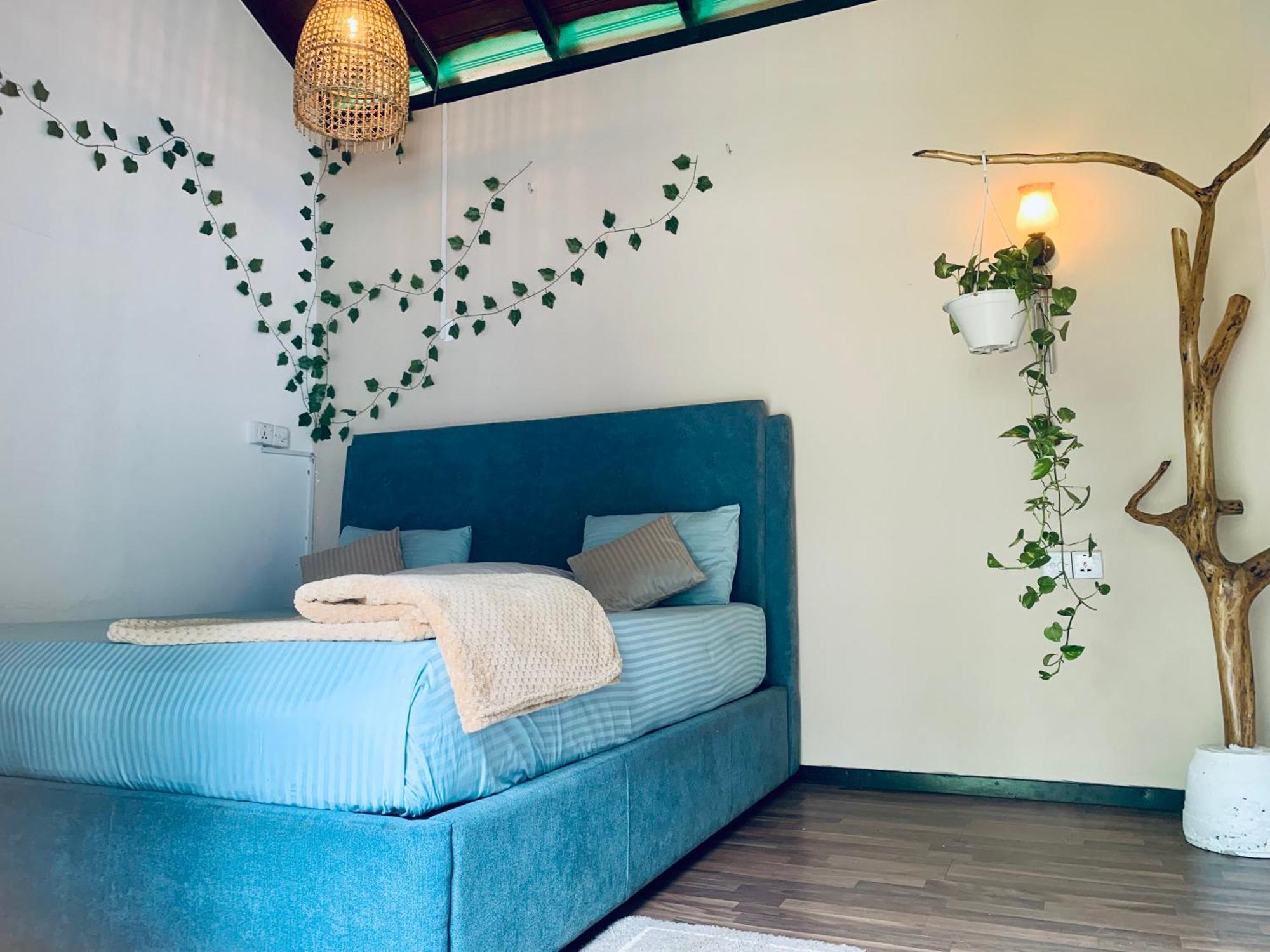 Ella Gypsies Hostel Εξωτερικό φωτογραφία